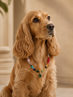 April Clear Quartz Matching Pet & Owner Necklace