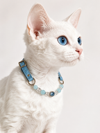 Aquamarine Matching Pet Collar & Owner Bracelet Set