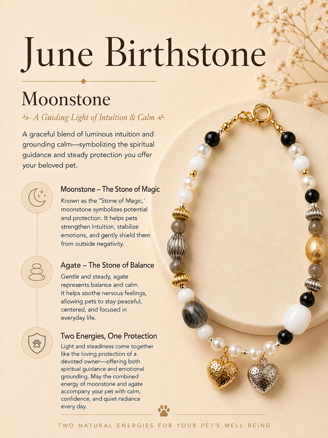 June Moonstone Matching Pet & Owner Necklace