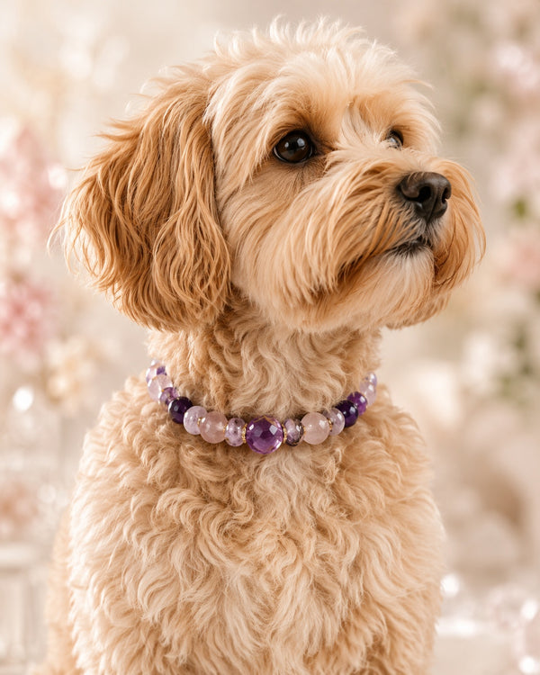 Crystal Collars