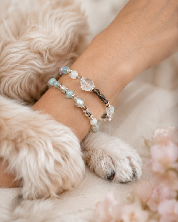 Crystal Collars & Bracelets
