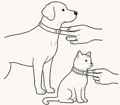 Checking a collar fit on a dog and cat