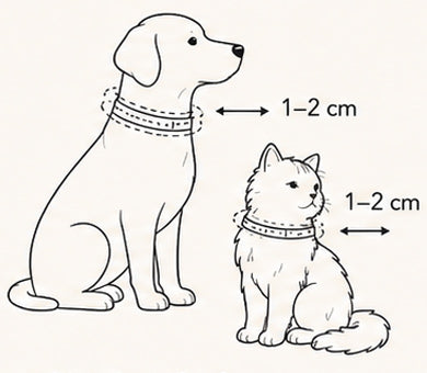 Allowing one to two centimetres for fur and comfort